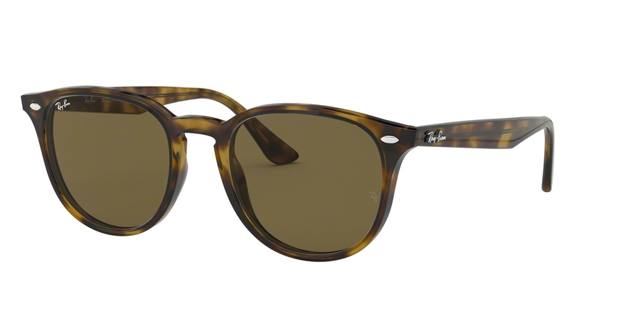 Ray-Ban RB4259