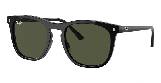 Ray-Ban RB2210F