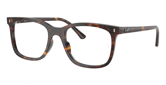 Ray-Ban RX5446