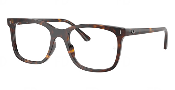 Ray-Ban RX5446F