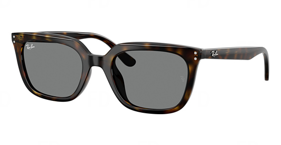 Ray-Ban RB4439D